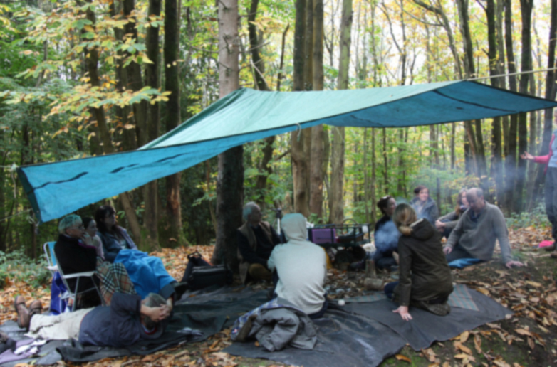 woodland mindfulness